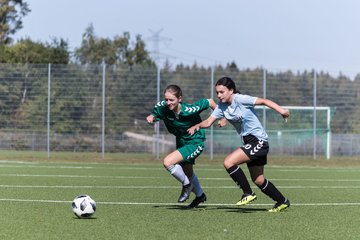 Bild 67 - wBJ FSG Kaltenkirchen - MSG Siebenbaeumen-Krummesse : Ergebnis: 2:5